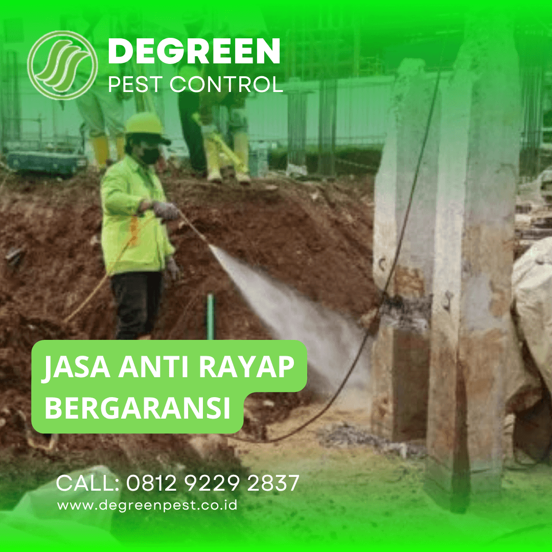 Jasa Anti Rayap di Tangerang