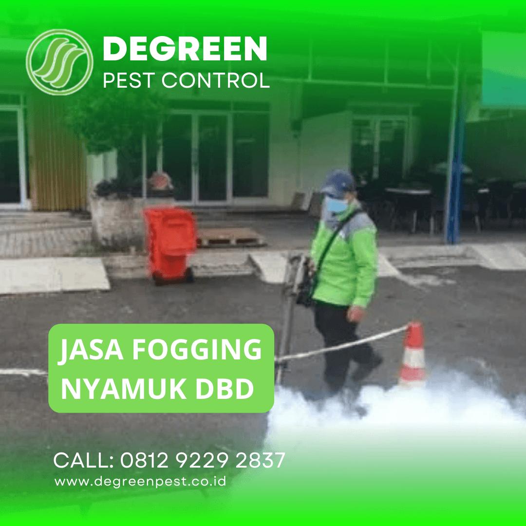 Jasa Fogging Nyamuk di Jakarta Pusat Bisa Massal Murah